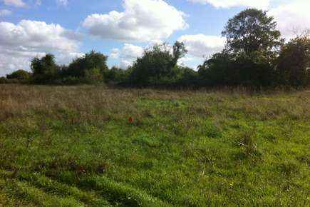terrain