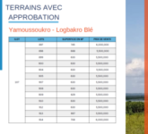 TERRAINS AVEC APPROBATION YAMOUSSOUKRO LOGBAKRO BLE