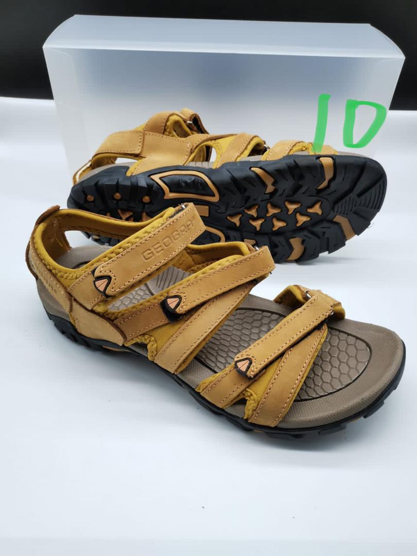 51AED348-CBDF-4946-9D90-4F34F29EC2C0