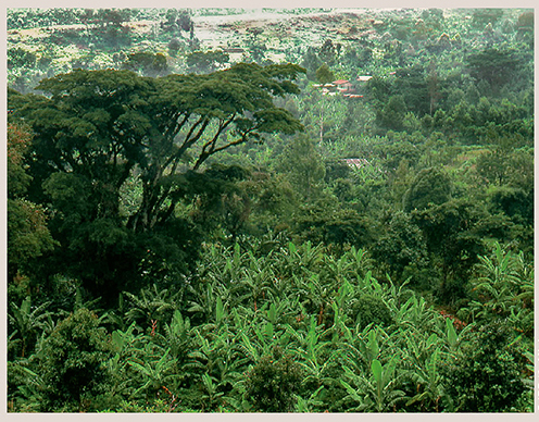 img-18