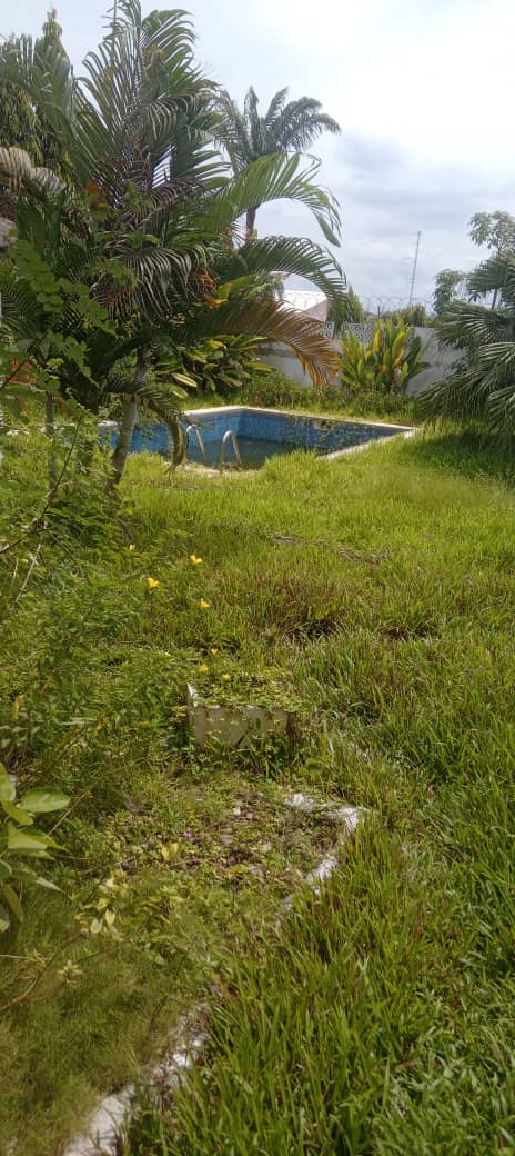 IMG-20230525-WA0100