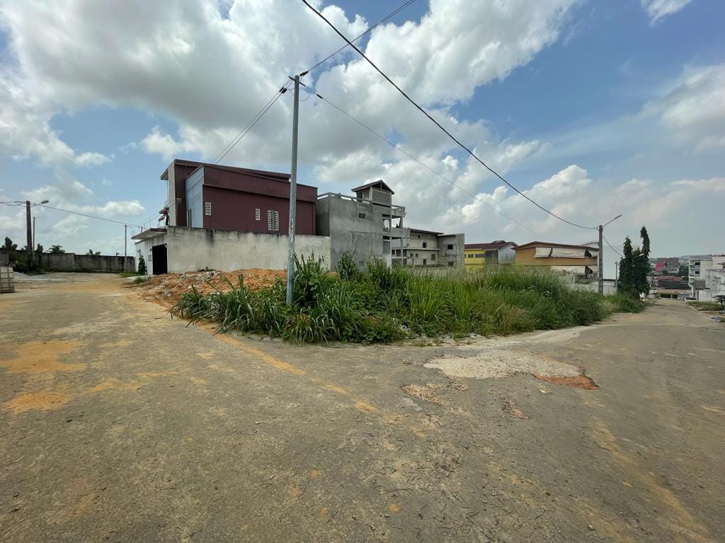 307m2 palmerais2