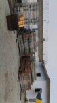 IMG-20230427-WA0021[1]