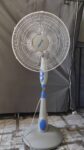 IMG-20230513-WA0001
