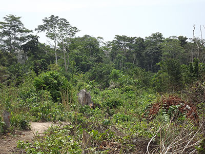 DSCF5108(RW400)
