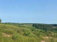 50ha sur pk29,1