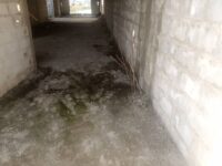 IMG-20230617-WA0584