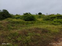 SOGON AGBAN 4