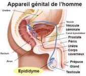 téléchargement (11)