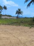 IMG-20230328-WA0006[1]