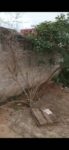 IMG-20230706-WA0417