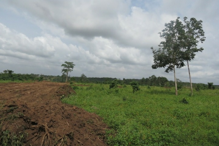 Terrain songon