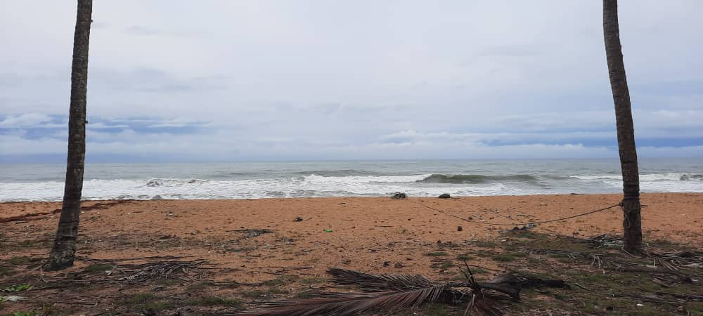 IMG-20230512-WA0310
