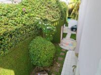 IMG-20230809-WA0465