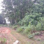 IMG-20230729-WA0017