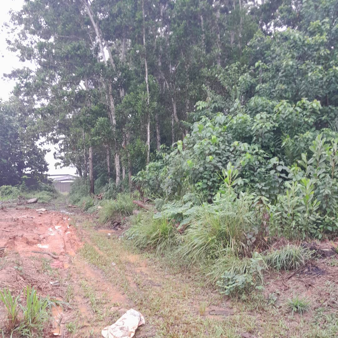 IMG-20230729-WA0017