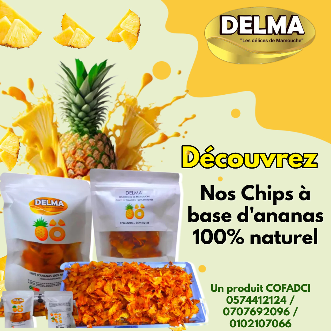 Delma chips - by yonah.