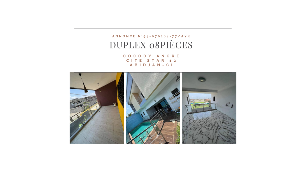 Annonce N°94-070164-77AYK (3)
