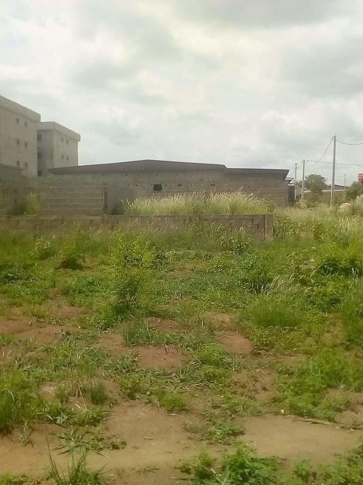 623340661676a579632921