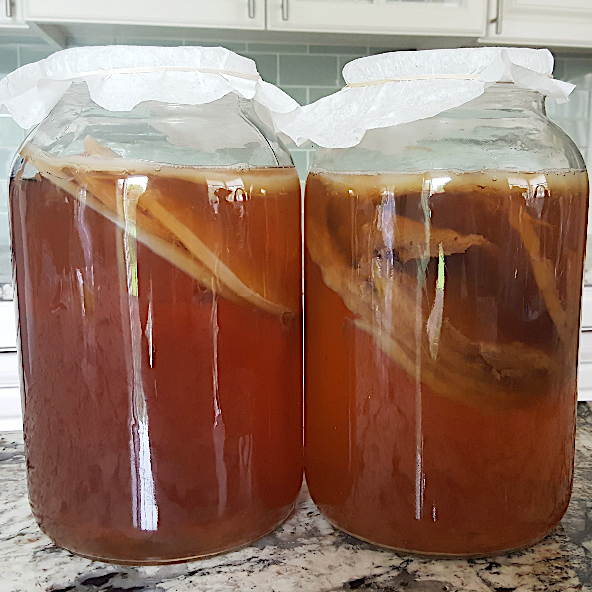 Kombucha-SCOBY-Floating-or-Sinking-2