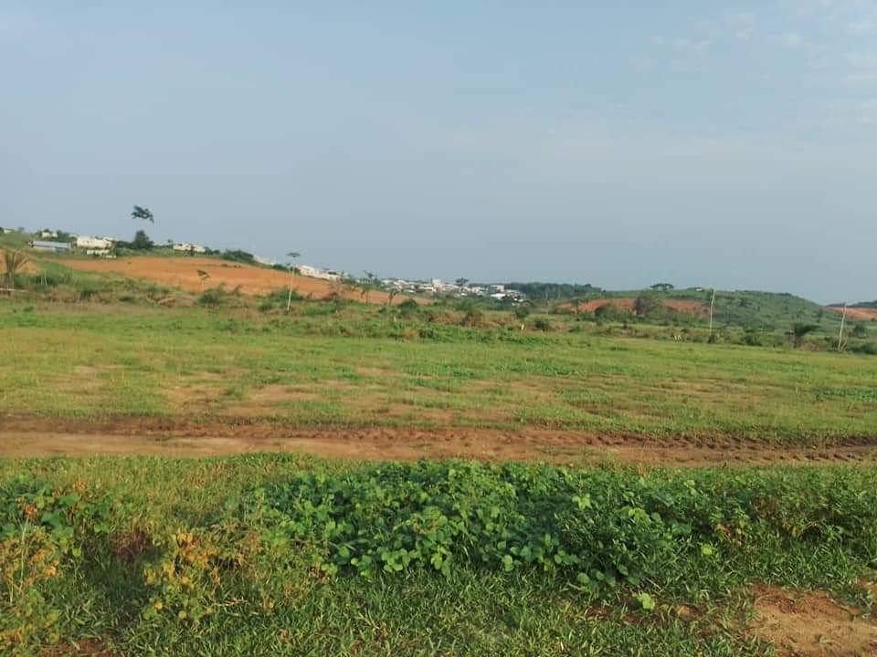 Land picture