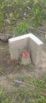 IMG-20231011-WA0009