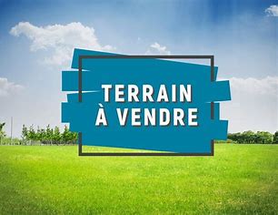 terrain