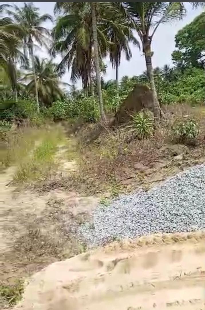 WhatsApp Image 2024-04-03 at 8.46.42 AM (1)