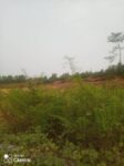 IMG-20220215-WA0007[1]