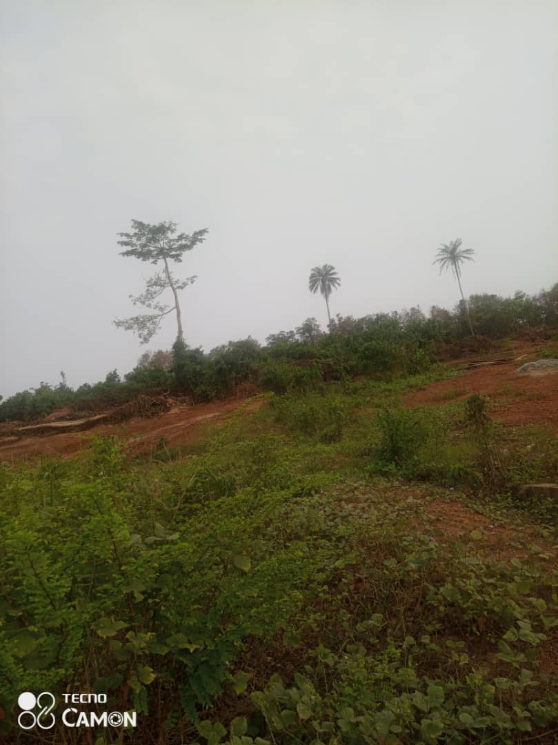 IMG-20220215-WA0006[1]