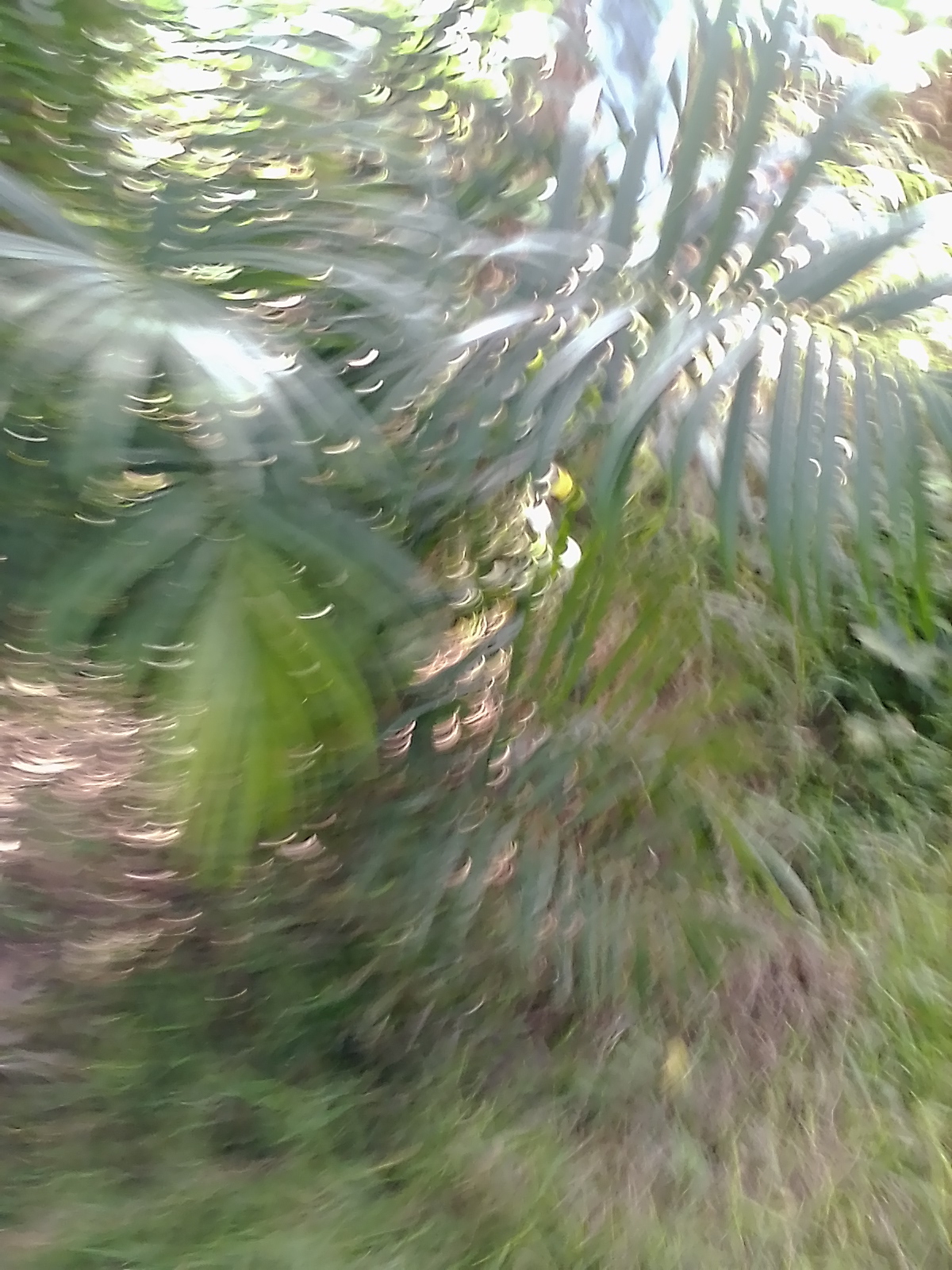 IMG_20200603_095919[1]
