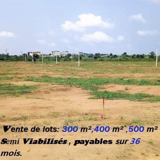FB_IMG_1724769448729