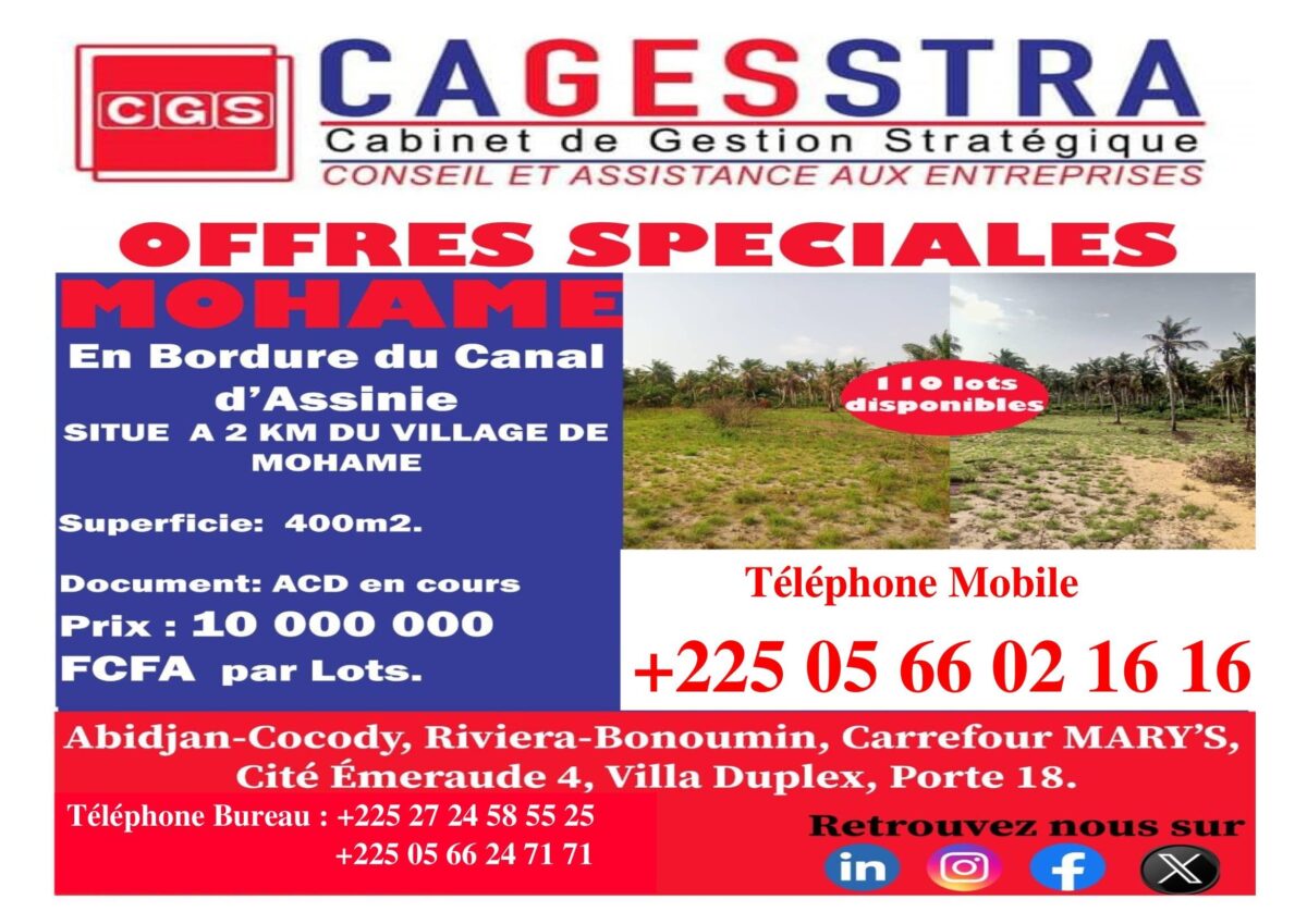 AFFICHE TERRAIN ASSINIE (MALLONE)