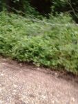 IMG_20200612_132827[1]