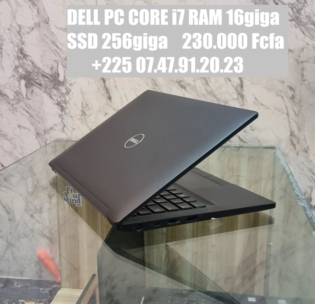DELLPROI7 (7)