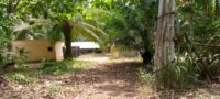 IMG-20201201-WA0015[1]
