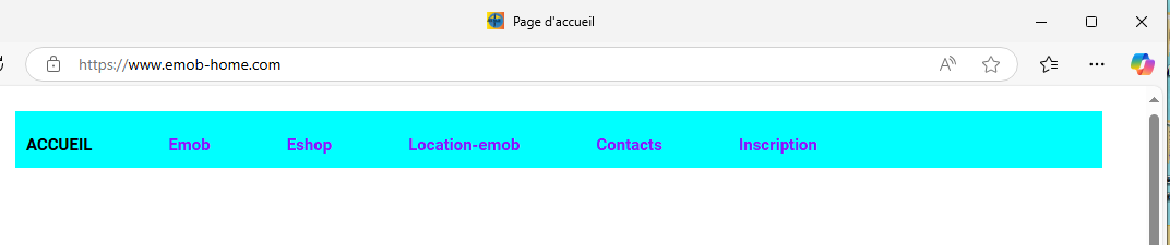 Emob 1