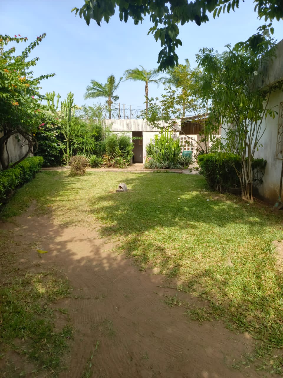 IMG-20250408-WA1107