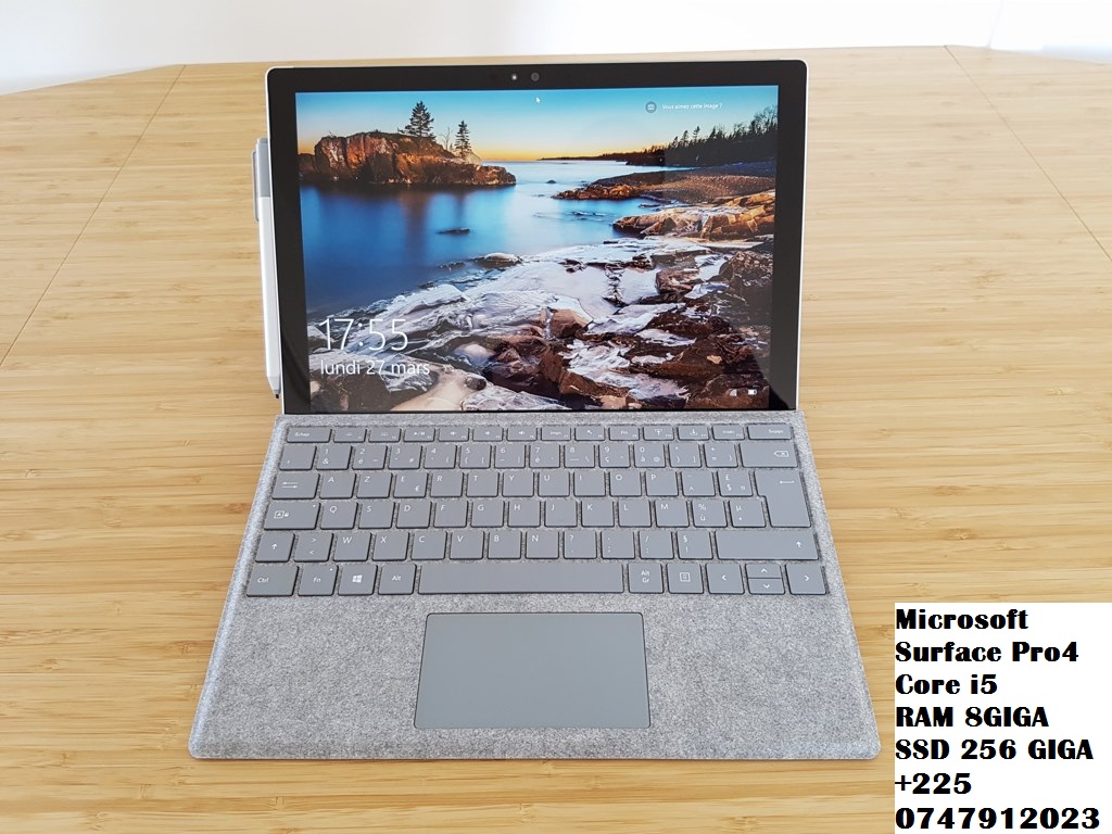 SURFACE PRO 4 (23)